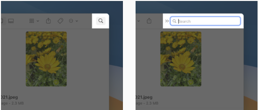 macOS11 toolbar search.png